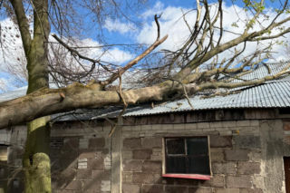 Wichury nad woj. lubelskim