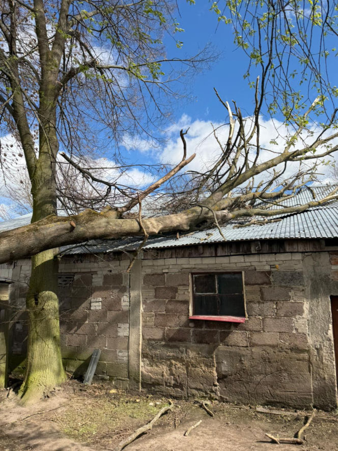 Wichury nad woj. lubelskim