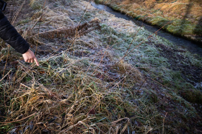 Zabójstwo 11-latki w Jeleniej Górze