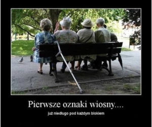 Dzień Wagarowicza 2020. Zobacz śmieszne MEMY na pierwszy dzień wiosny