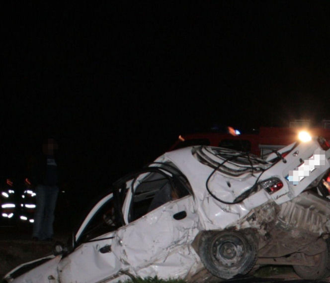Tadeusz zginął próbując ratować Perełkę. Nocna podróż samochodem zakończona tragedią