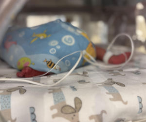 W WSS Olsztyn przyszły na świat trojaczki