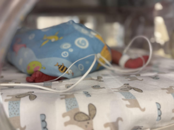 W WSS Olsztyn przyszły na świat trojaczki