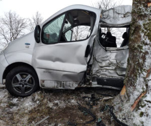 Bus uderzył w drzewo. Na szczęście podróżującym nic się nie stało [ZDJĘCIA]