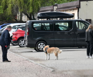 Kaczorowska wyniosła Peli pół domu