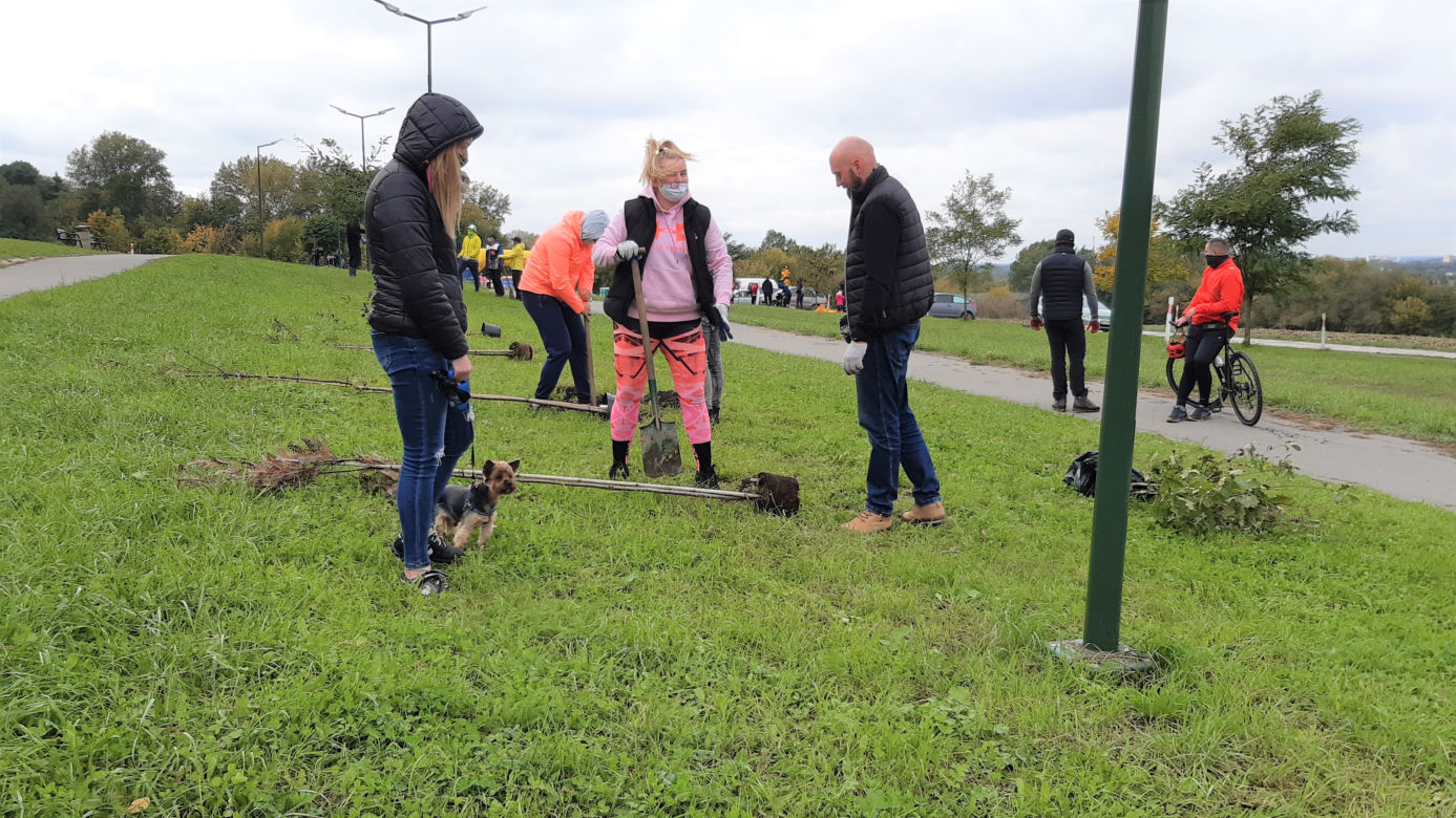 „W zielone gramy” - akcja sadzenia roślin