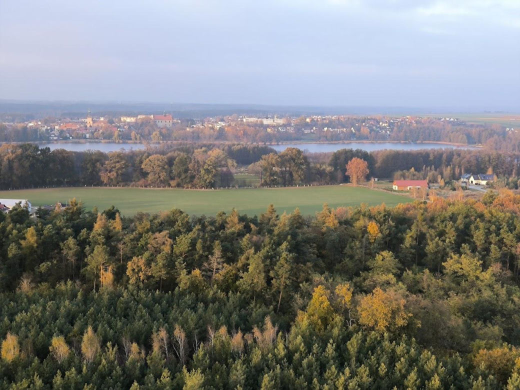 Osieczna