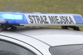 Straż miejska wezwana do... igloo. Ktoś napisał donos