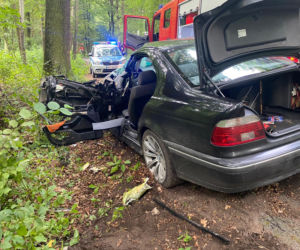 Dąbrowica: Bmw uderzyło w drzewo. 18-latek zakleszczony w pojeździe