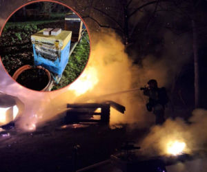 Ogień strawił pasiekę. Kilka pszczelich rodzin nie przeżyło