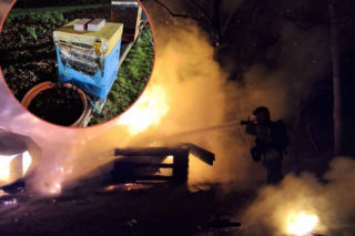 Ogień strawił pasiekę. Kilka pszczelich rodzin nie przeżyło