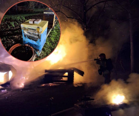 Ogień strawił pasiekę. Kilka pszczelich rodzin nie przeżyło