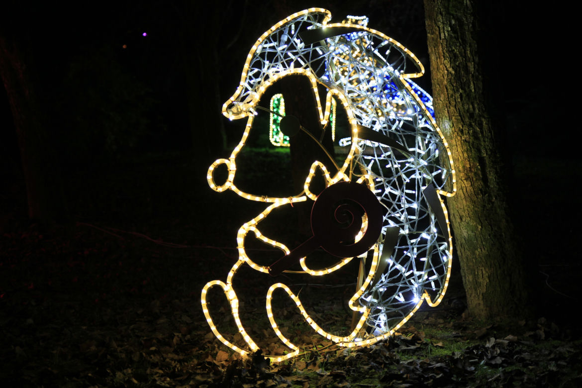 Park iluminacji „Tajemniczy Ogród” w Lublinie