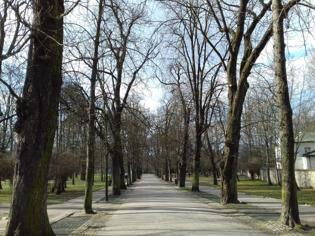 Rewitalizacja Parku miejskiego w Kielcach