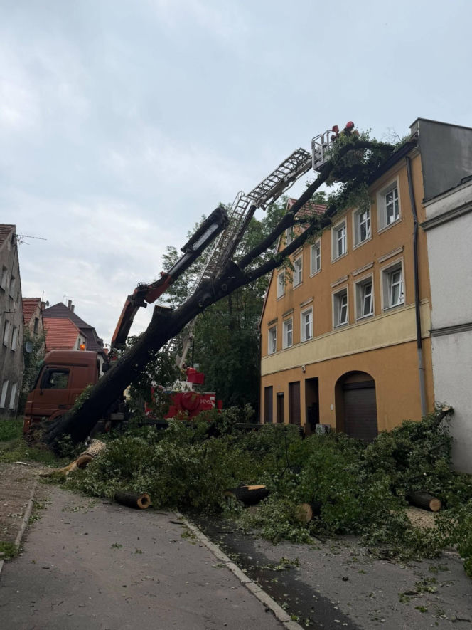 Burze spustoszyły Dolny Śląsk. Setki interwencji strażaków i ewakuacja obozów harcerskich