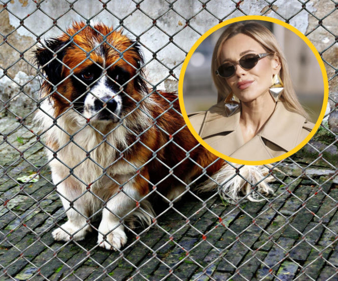 Doda, schronisko, Tarnów