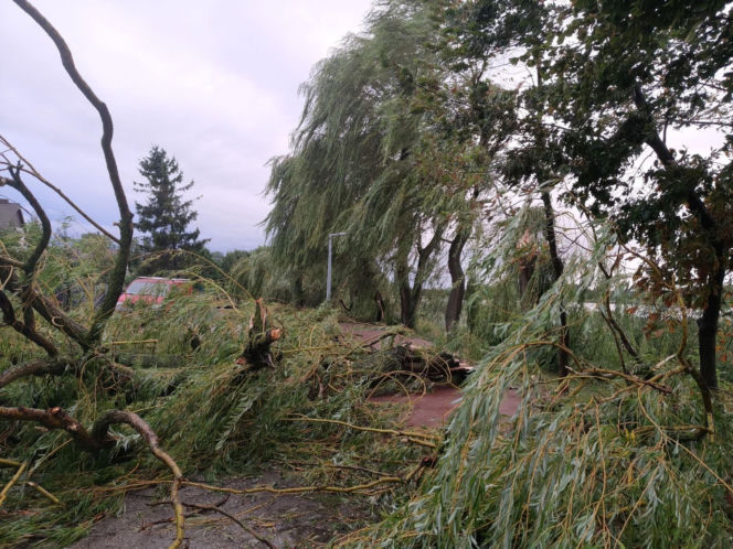Potężna wichura w Wielkopolsce! Zerwane dachy, powalone drzewa i ogromne zniszczenia