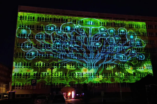 Szczecin Light Festival