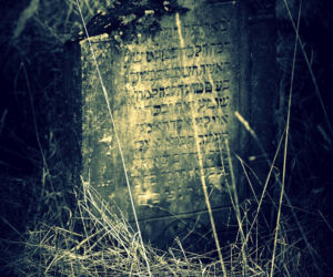 Kirkut w Starachowicach