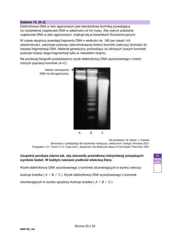 Matura 2025 z biologii – ARKUSZ Formuła 2023