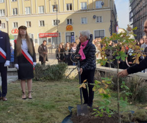 Zostawili listy potomnym i zasadzili drzewo. Święto Drzewa w Lublinie [GALERIA]