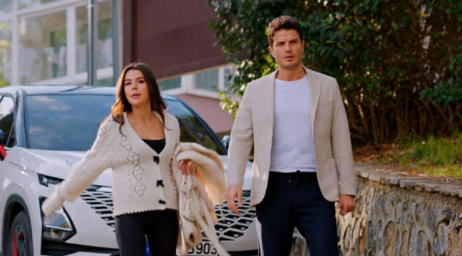 Miłość i nadzieja, odcinek 338. Zeynep, Ege