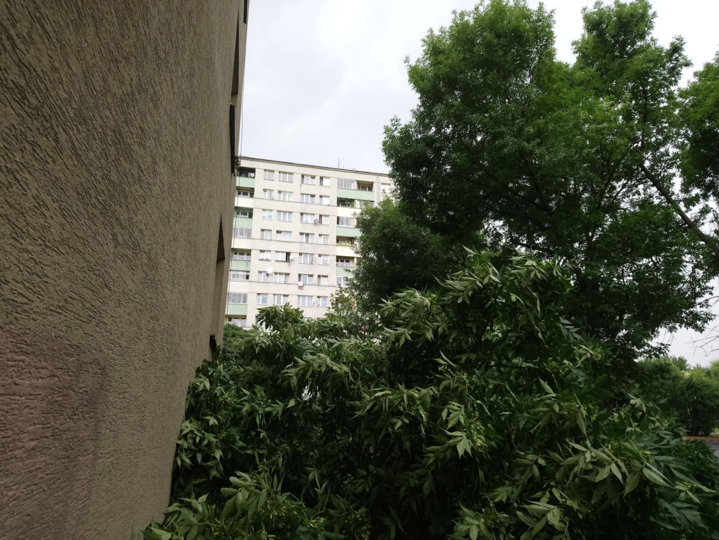 Drzewo runęło na blok i chodnik w Krakowie
