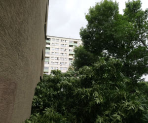 Drzewo runęło na blok i chodnik w Krakowie