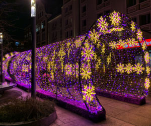 Świąteczne iluminacje we Wrocławiu