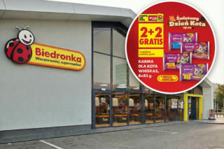 Biedronka z promocjami na Dzień Kota, karma 2+2 gratis