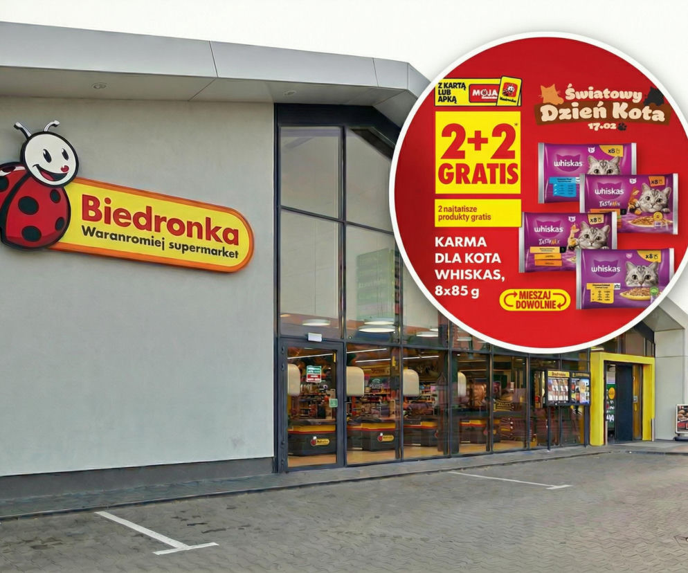 Twój kot oszaleje ze szczęścia! Biedronka z promocjami na Dzień Kota, karma 2+2 gratis