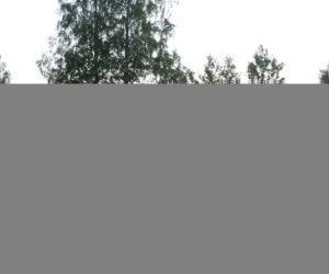 Smoleńsk 2010. Zdjęcia z miejsca katastrofy prezydenckiego samolotu