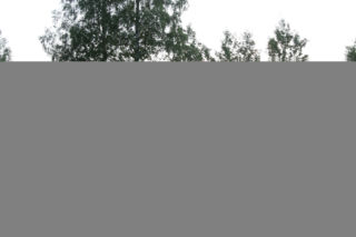 Smoleńsk 2010. Zdjęcia z miejsca katastrofy prezydenckiego samolotu