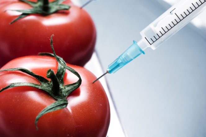 GMO czy mozna podawac dzieciom