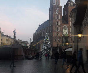 Na krakowskim Rynku pojawiła się już choinka! [GALERIA ZDJĘĆ]