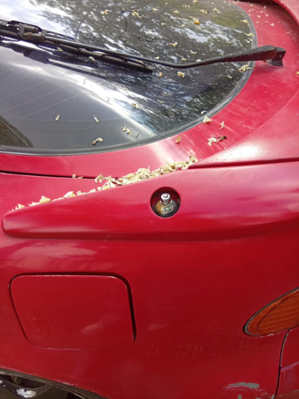 Zdewastowali auto na juwenaliach Politechniki Łódzkiej. Właścicielka szuka świadków