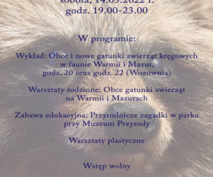Noc Muzeów w Olsztynie 2022. Co będzie się działo? [PROGRAM]