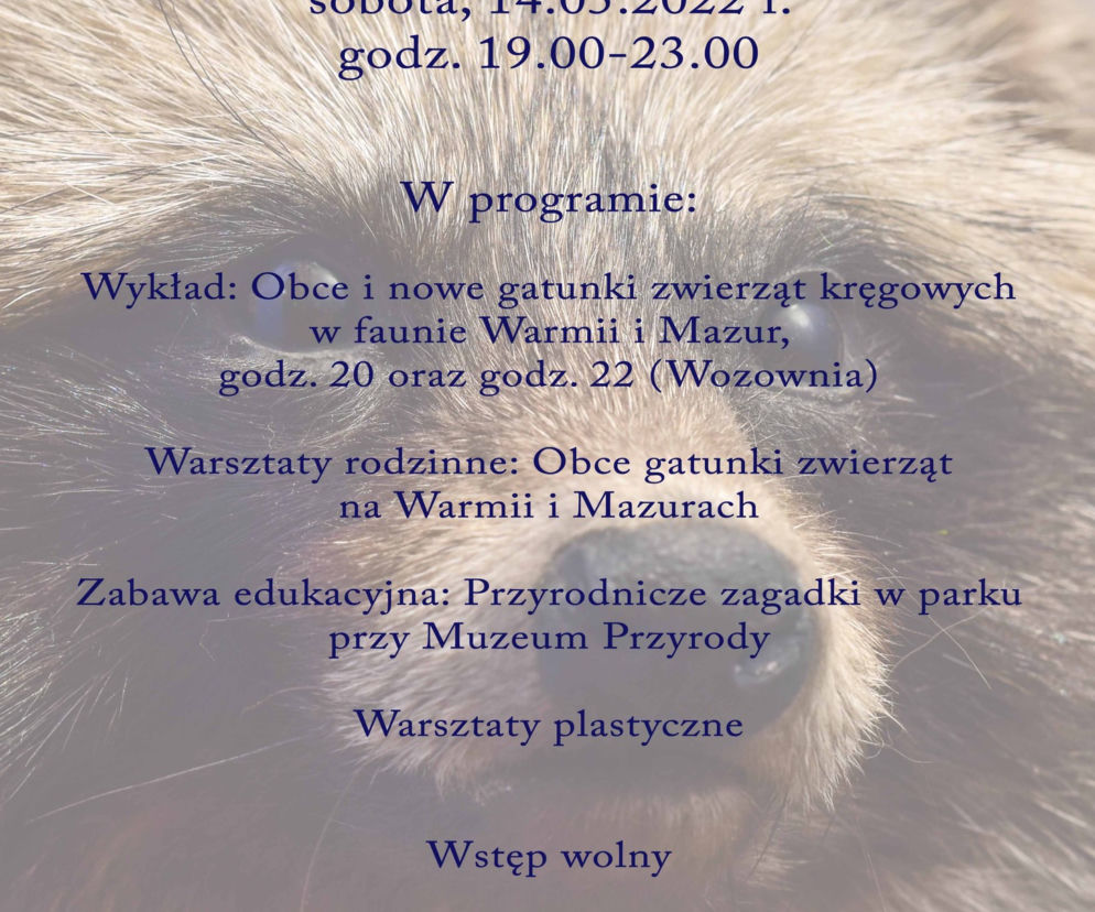 Noc Muzeów w Olsztynie 2022. Co będzie się działo? [PROGRAM]