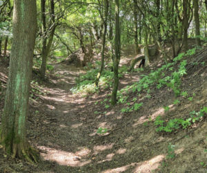 Rekonstrukcja Twierdzy Kraków nad Północną Obwodnicą Krakowa