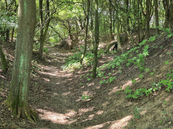 Rekonstrukcja Twierdzy Kraków nad Północną Obwodnicą Krakowa