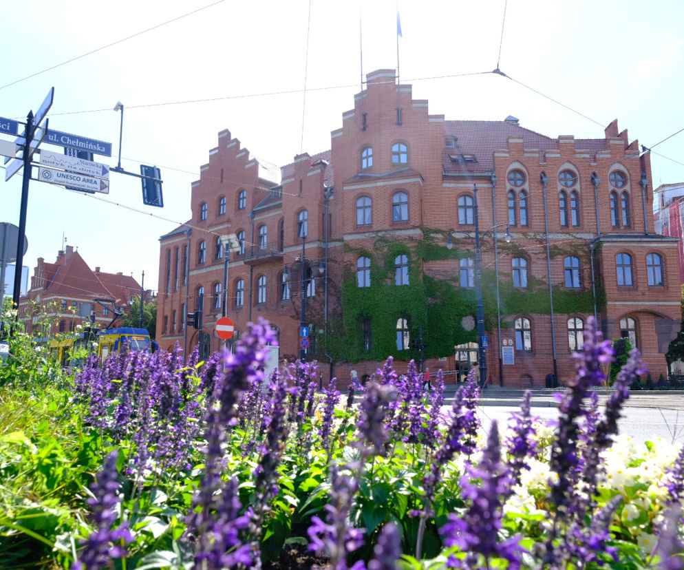 Łąki i piękne kwiaty pod oknem gabinetu prezydenta Torunia