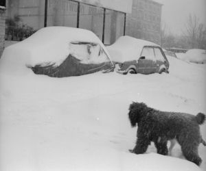 Zima stulecia 1978/1979