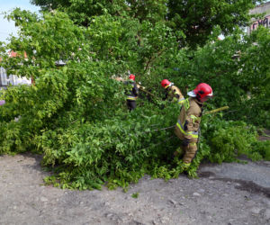 Szczecin: Zniszczenia po przejściu gwałtownej burzy