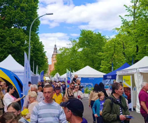 Piknik nad Odrą