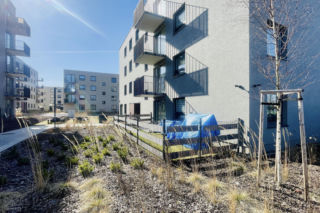 Katowice, osiedle przy Korczaka. Mieszkania na wynajem