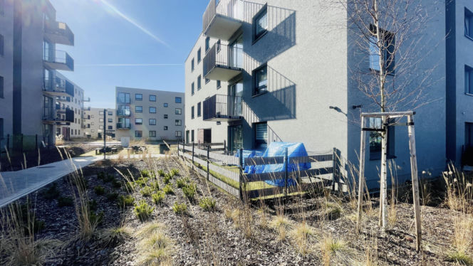 Katowice, osiedle przy Korczaka. Mieszkania na wynajem