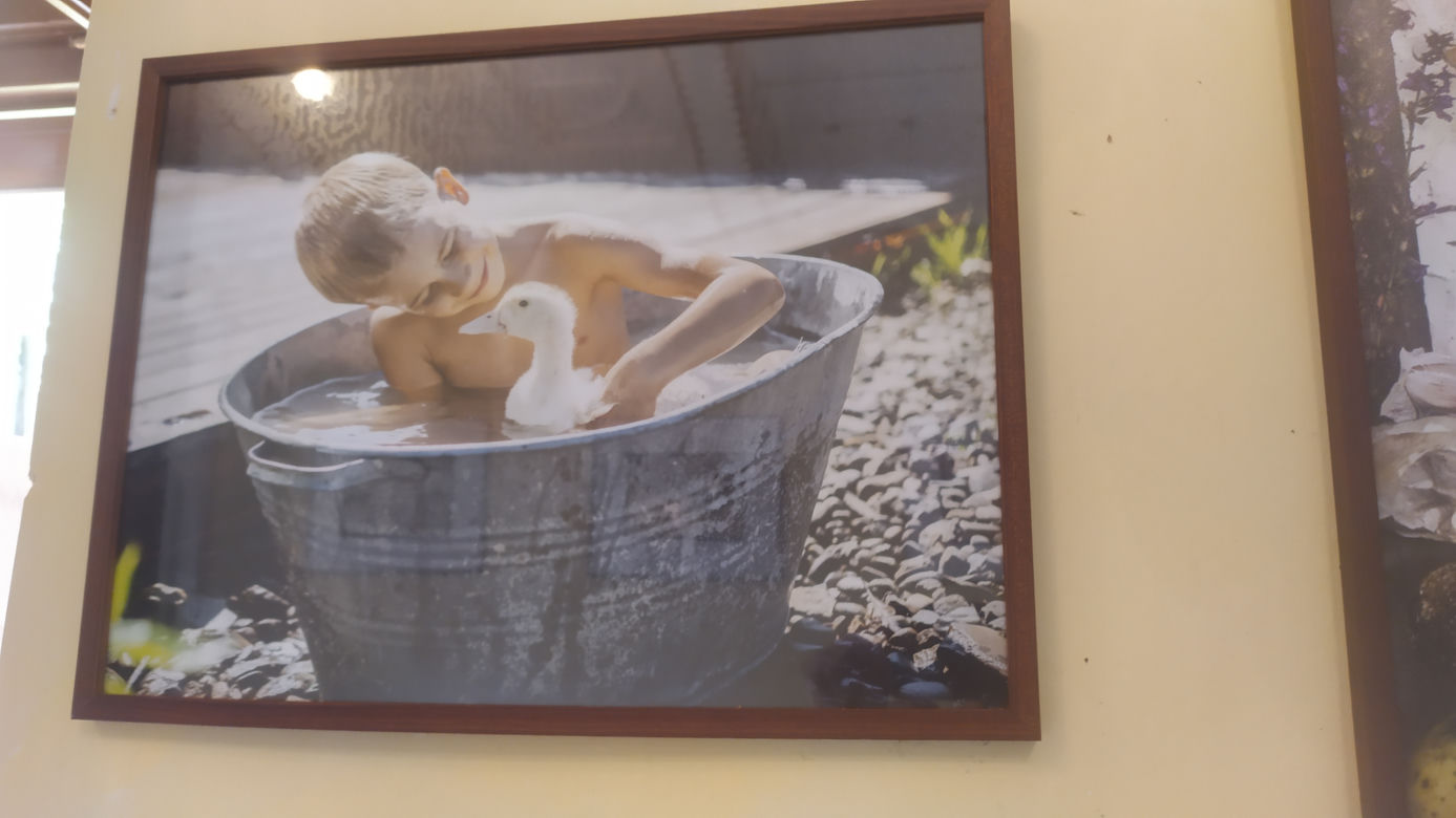 V Pawilon Sztuki Kobiet na Żywiecczyźnie