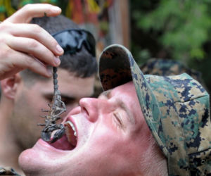 Tak się szkoli żołnierzy marines 
