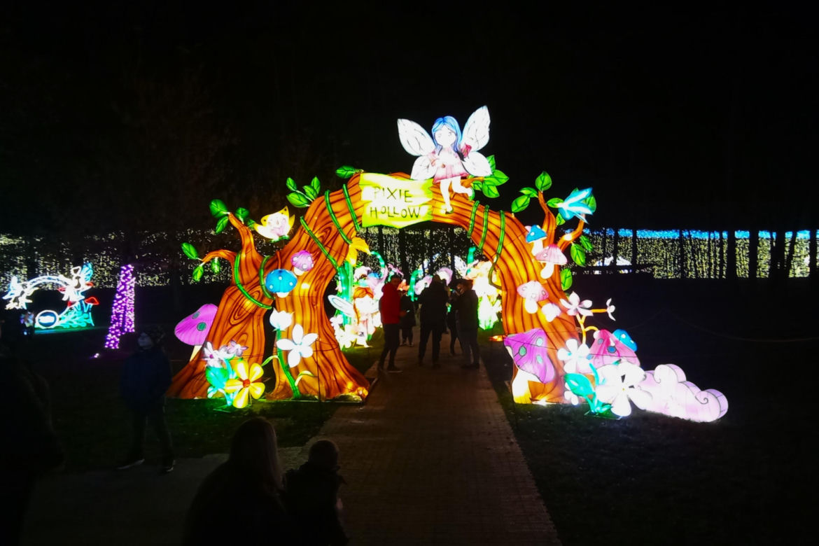 Garden of Lights w Szczecinie