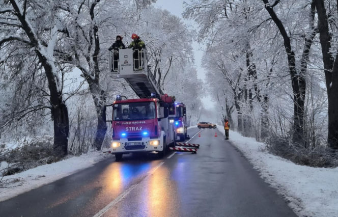Interwencje strażaków w Tarnowie
